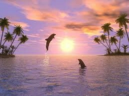 holidays