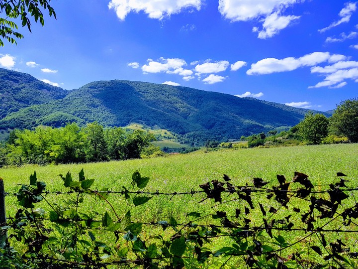 doğa harikası