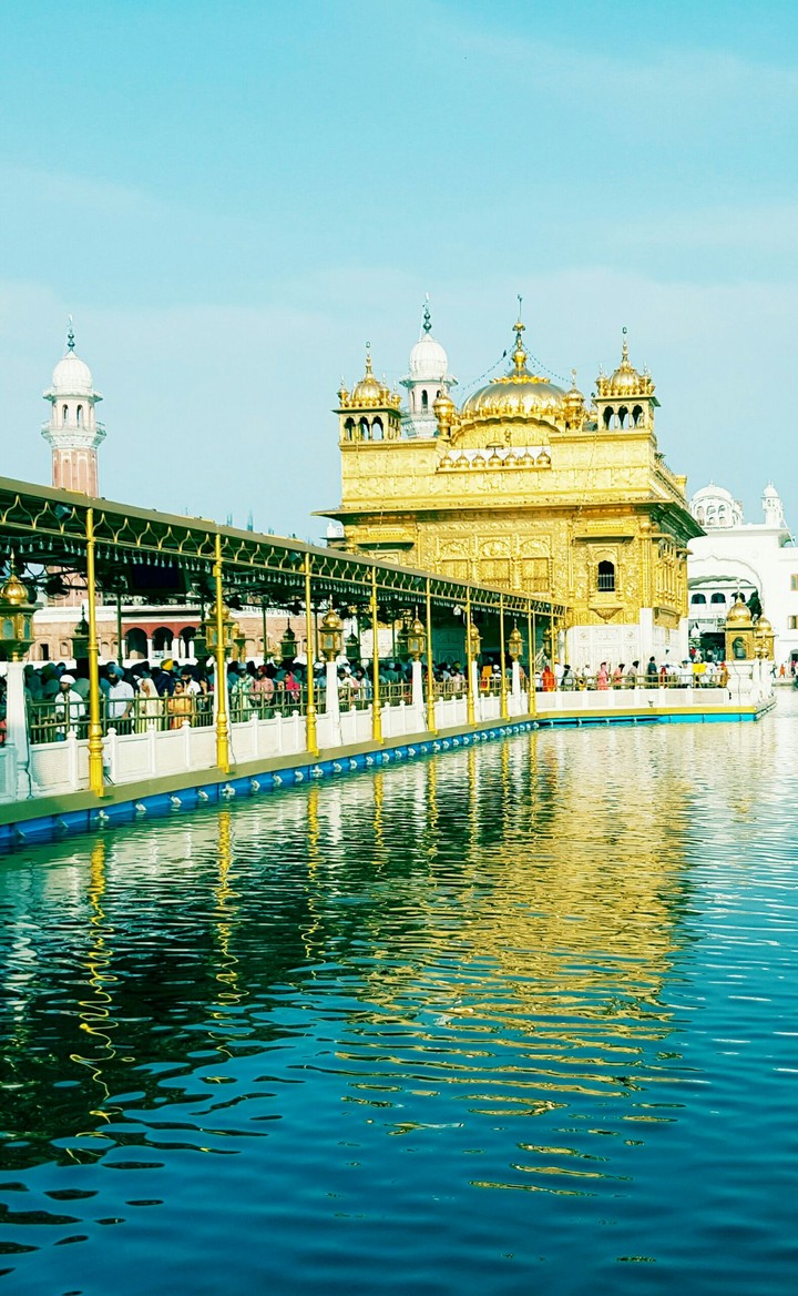 The Golden world