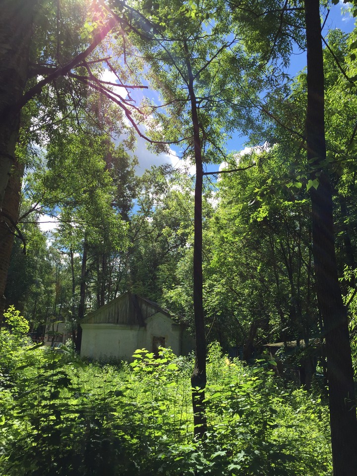 lonely home