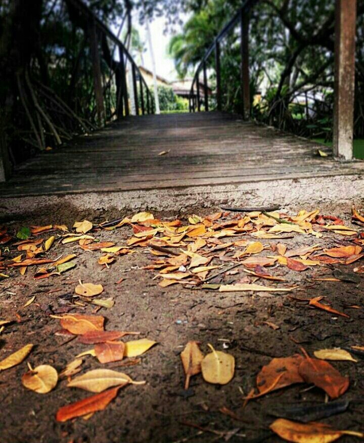 Caminho