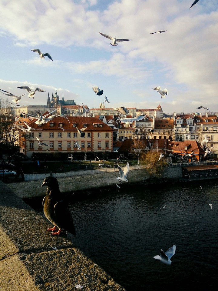 Praha