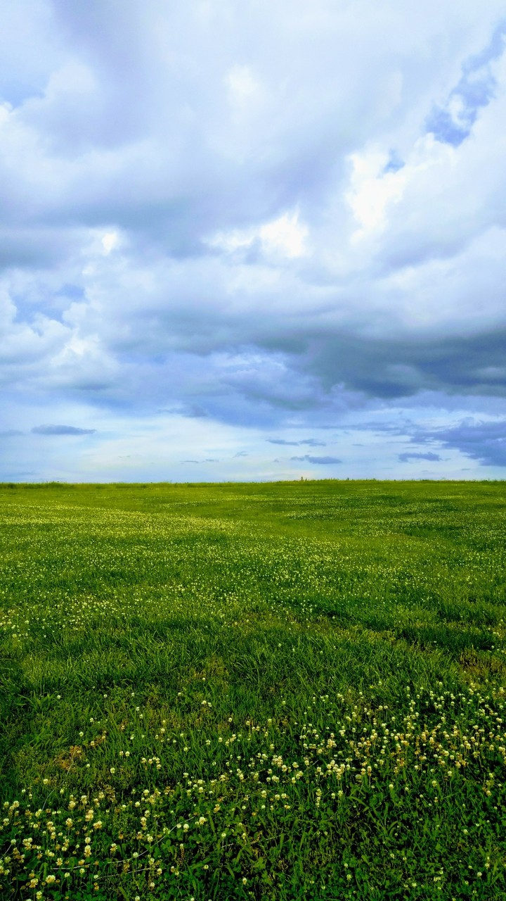 stormy field