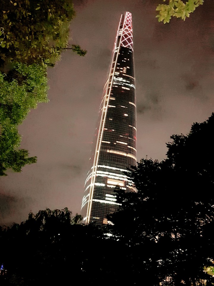 빛의 향연