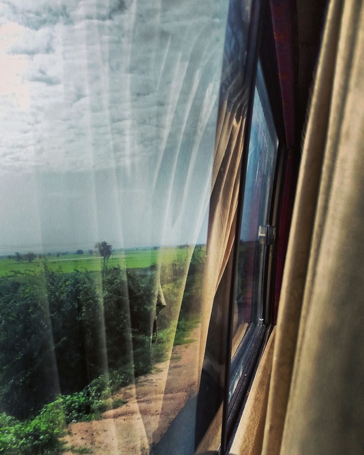 Window