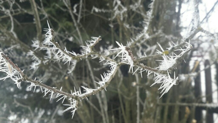 ❄
