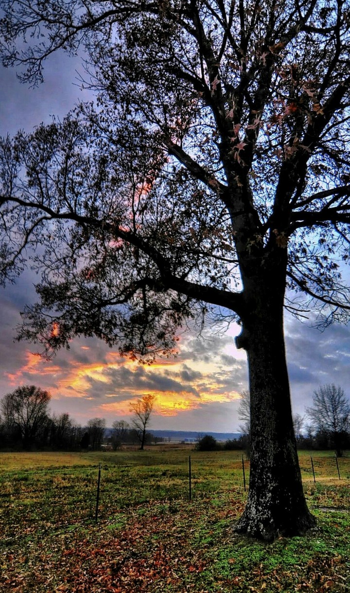 Fall Sunset