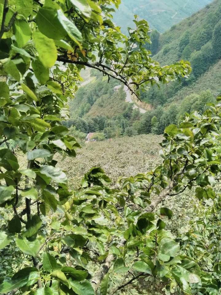 doğa