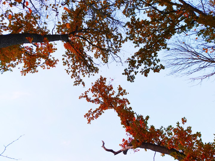 sky