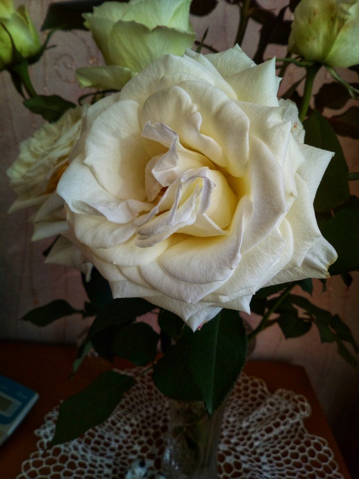 Flowers