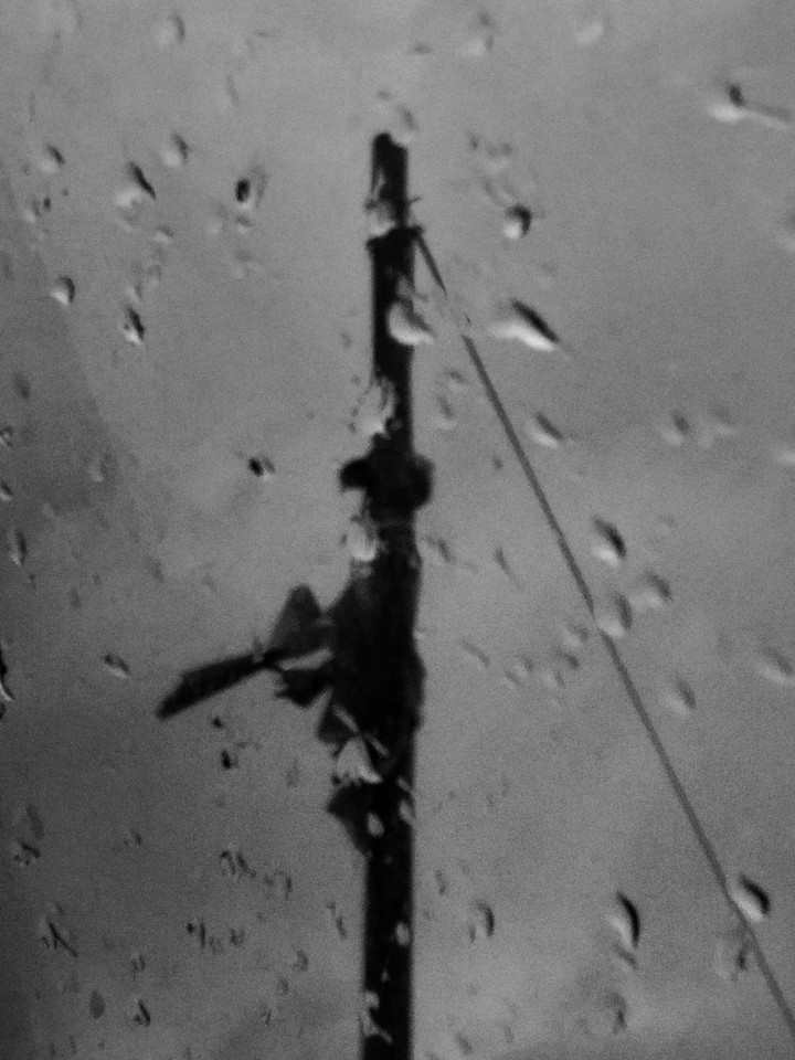 the rain