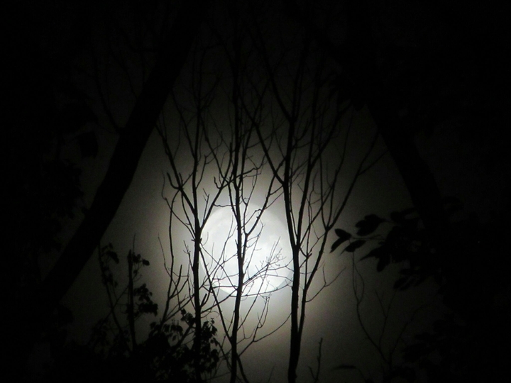 Supermoon 2016