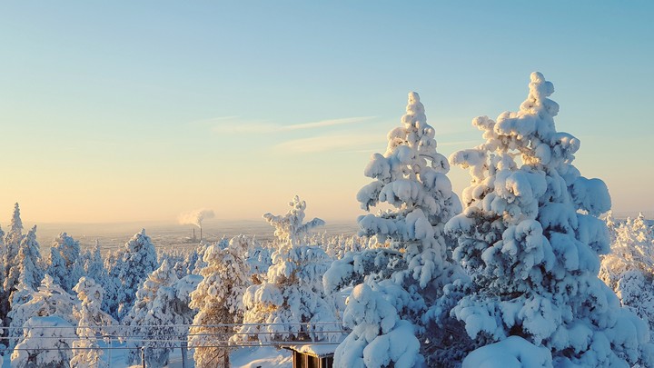 Winter Paradise ❄
