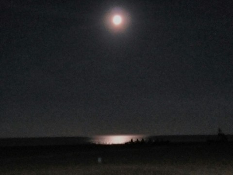 Moon