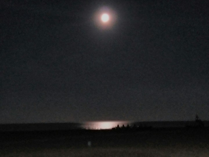 Moon