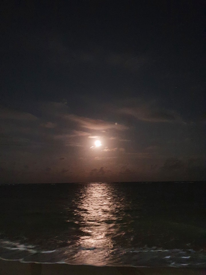 lua