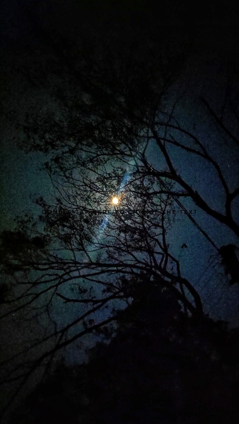 midnight picture