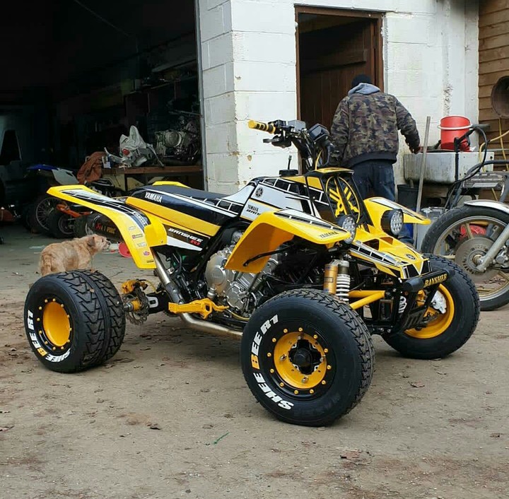 like in the bike
