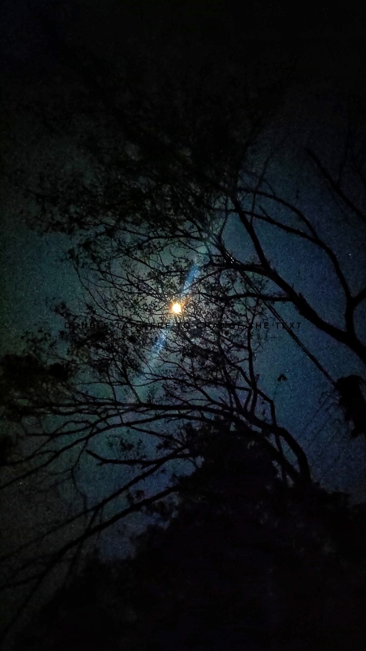 midnight picture