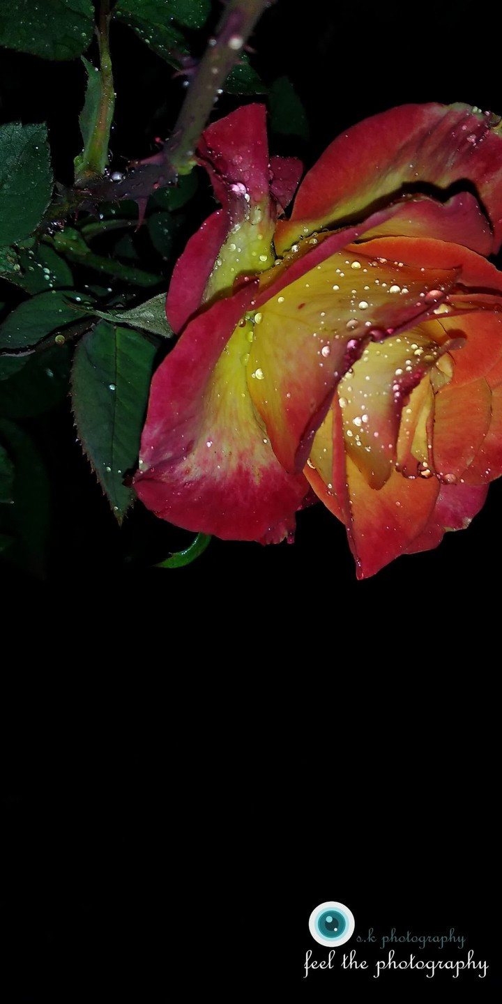 smiley faces
