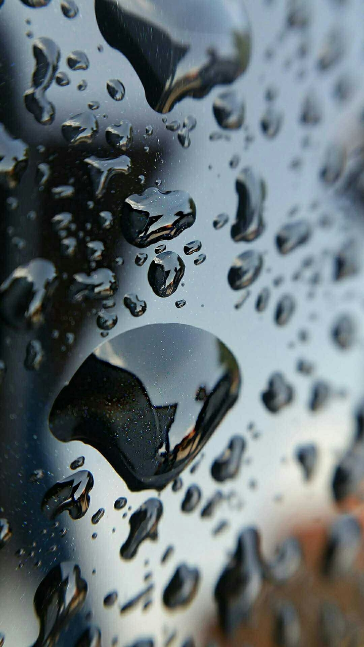 Rain