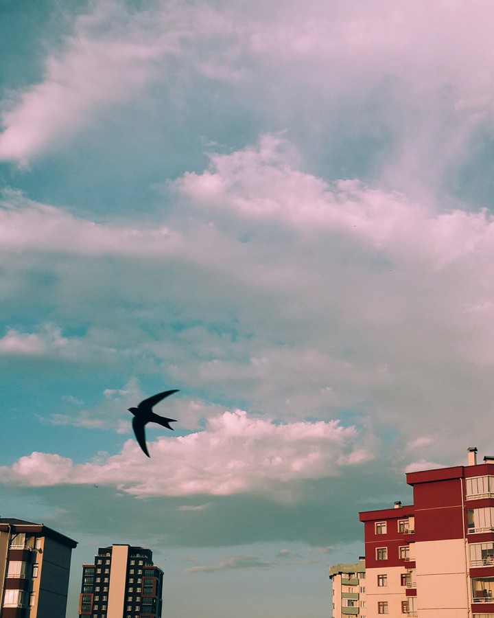 - I am going to clouds.