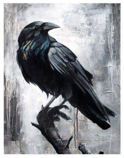 Crow