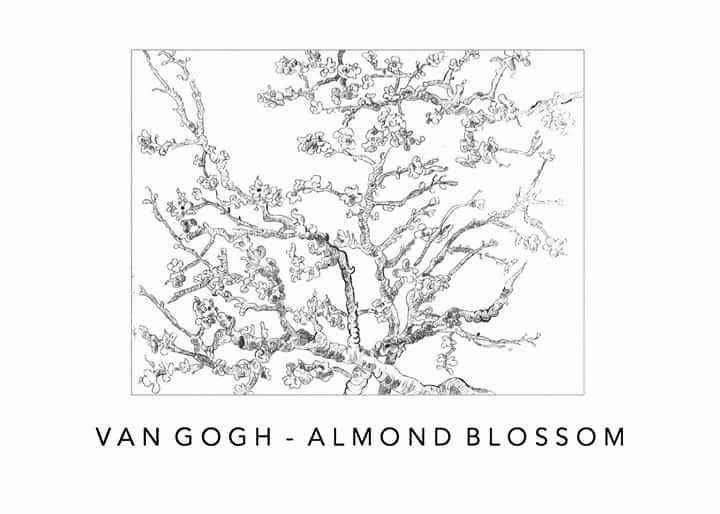 Almond blossom