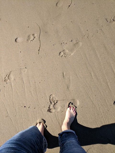 Footprint's in the Sand
