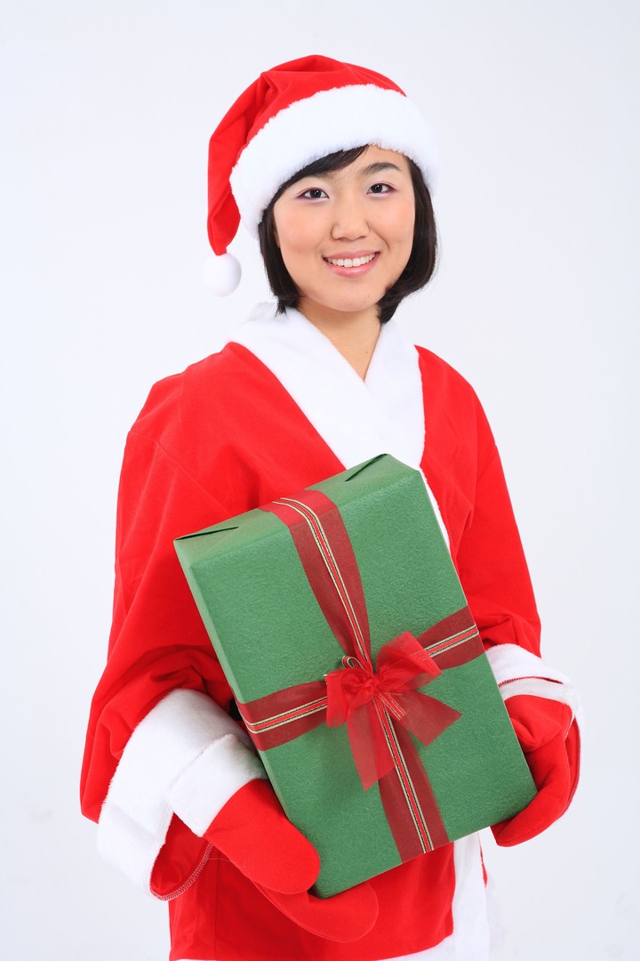 Christmas Costume