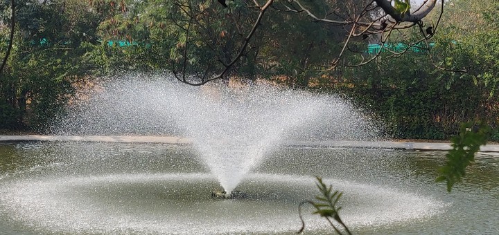 sprinkler