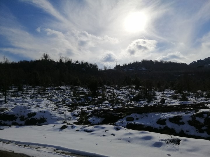 bikfaya