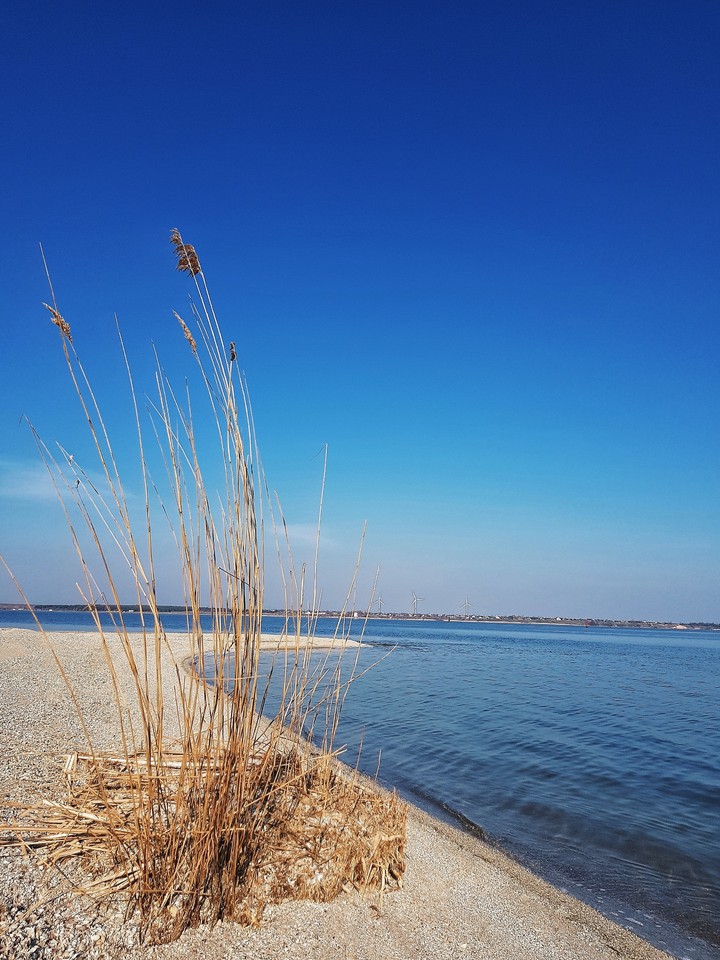 by the sea