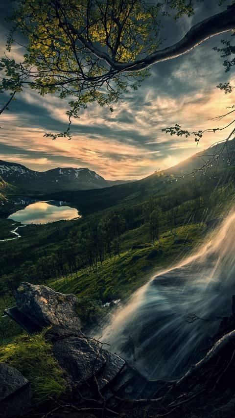 красота