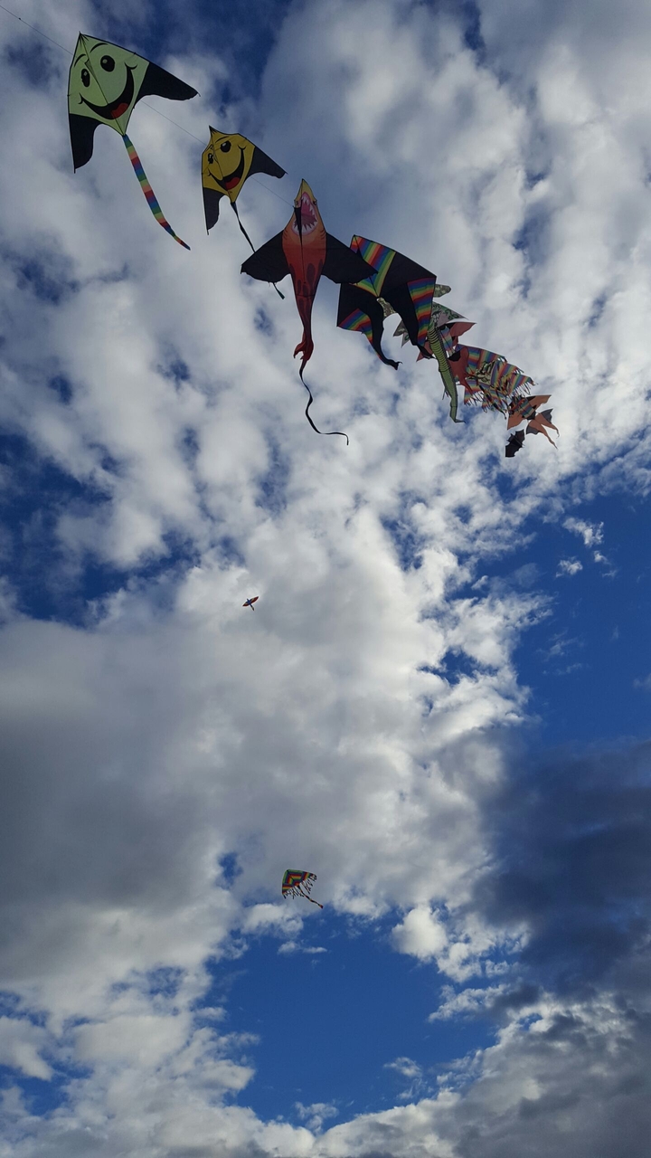 Kite in Italy