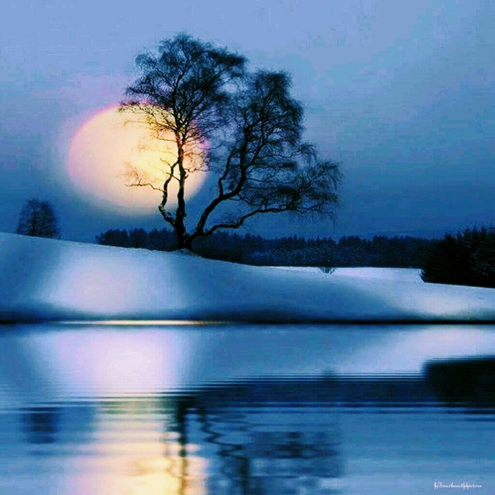 TRAMONTO