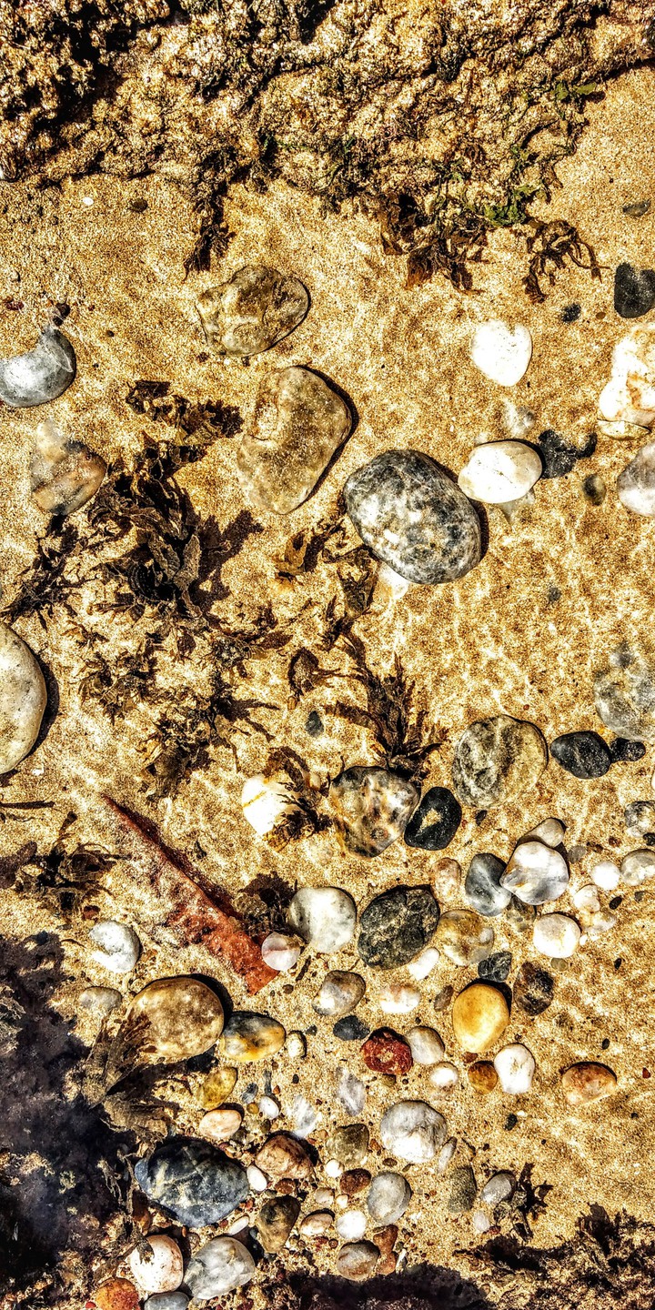searocks