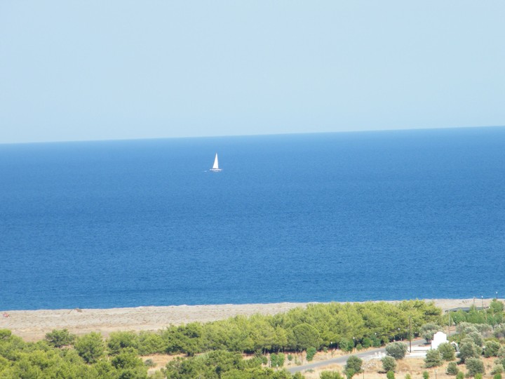 White in the Blue