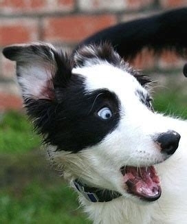 ?
