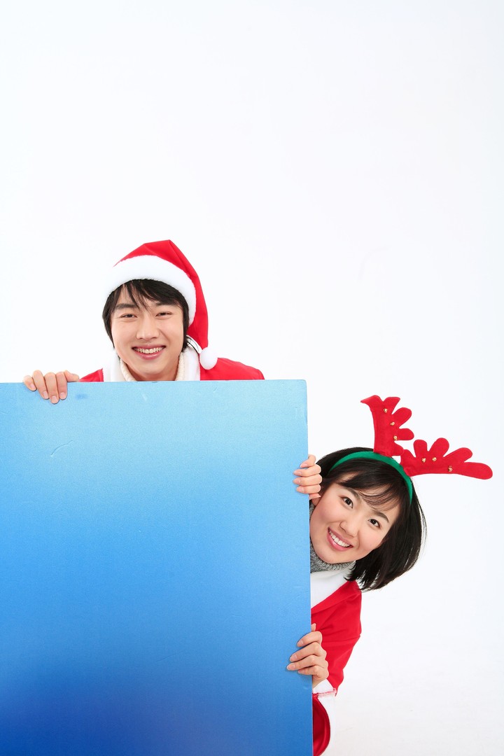 Christmas Costume