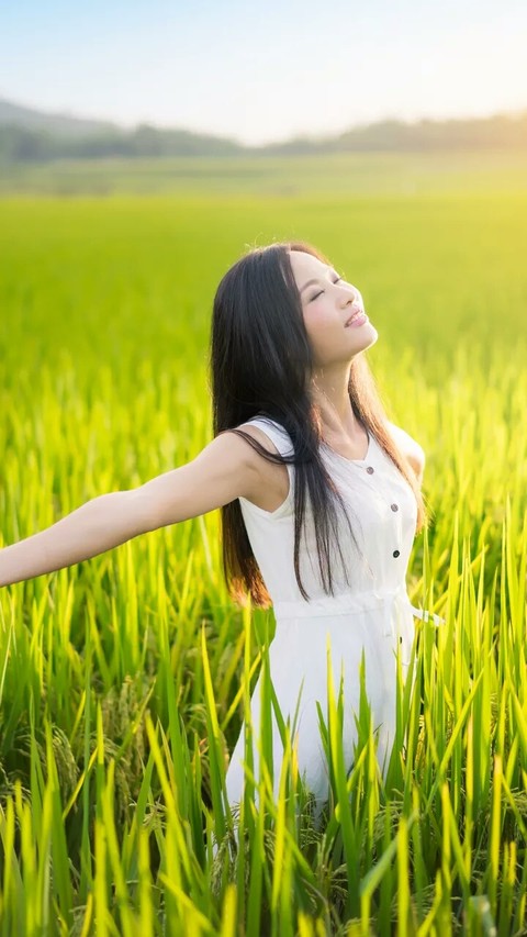 sfondi grass, field