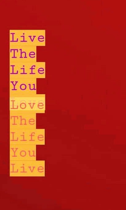Live The Life You Love