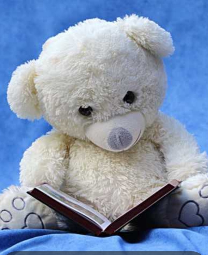 Y♥️  Studious teddy bear