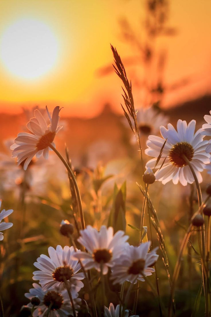 sun shine