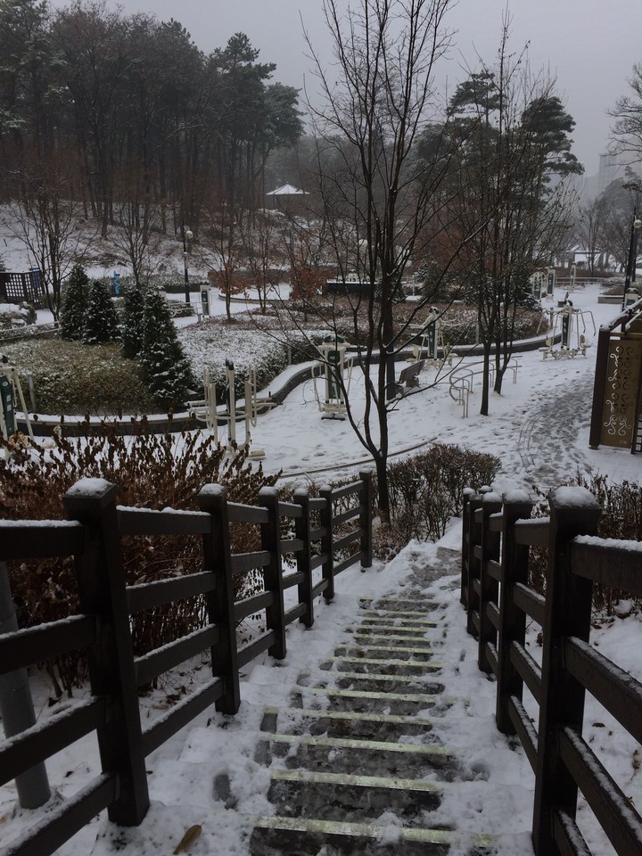 One snowy sunday morning.