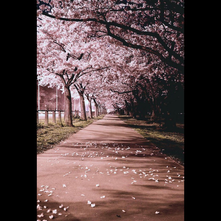 road