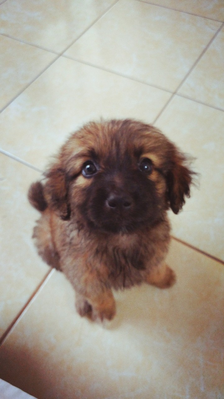 Can you give me a cookie 