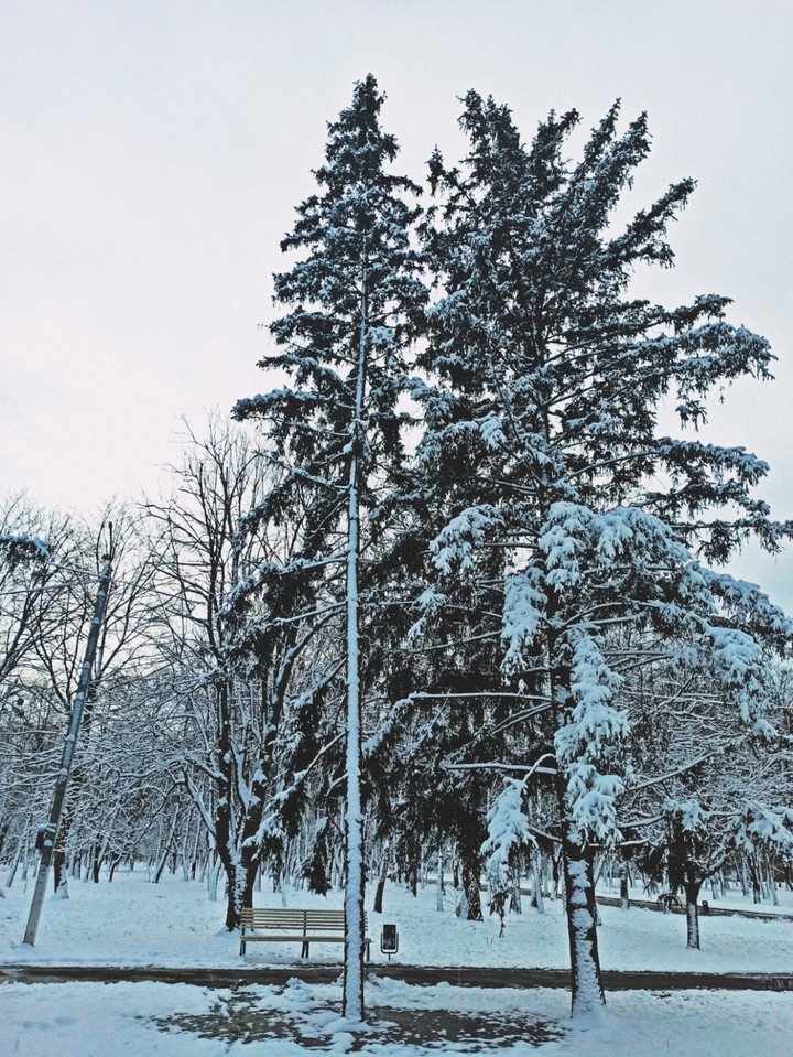 park
