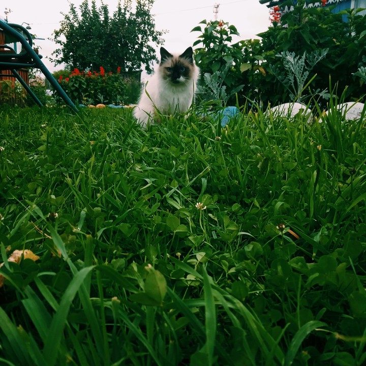 Охотник