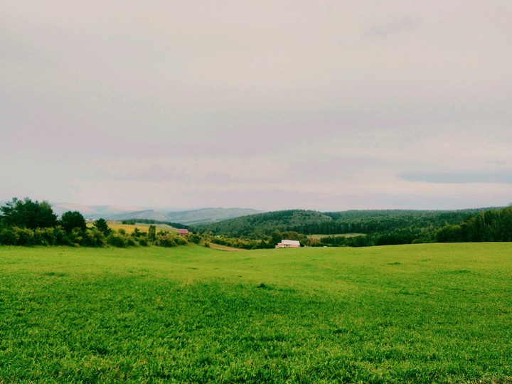August in Sebiria